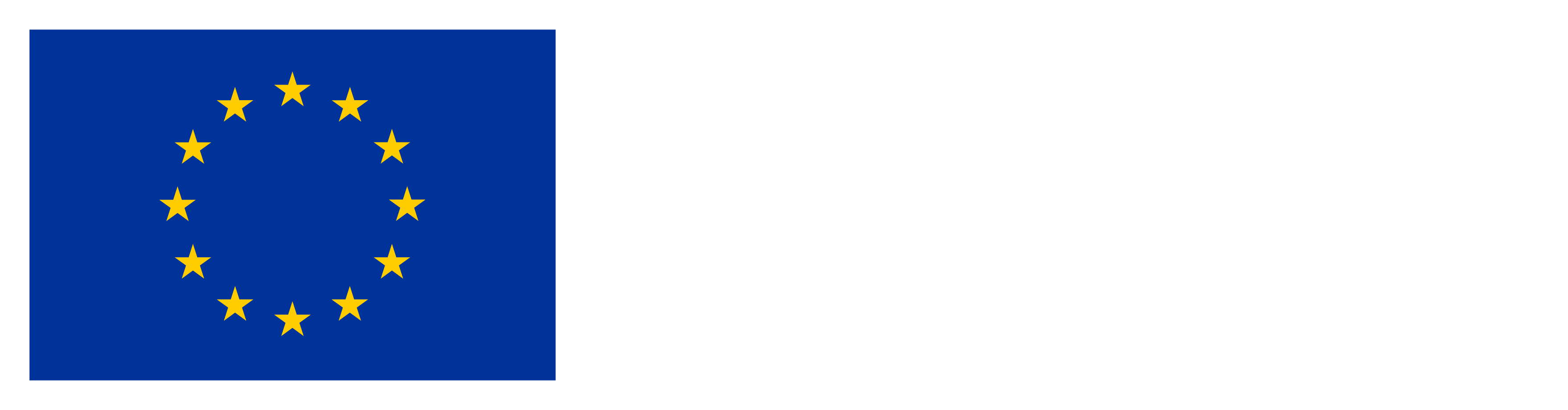 Imagen de la financiación por la Unión Europea NextGenerationEU